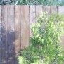 Sztachetowe i Panelowe - Ogrodzenia drewniane -  #3
